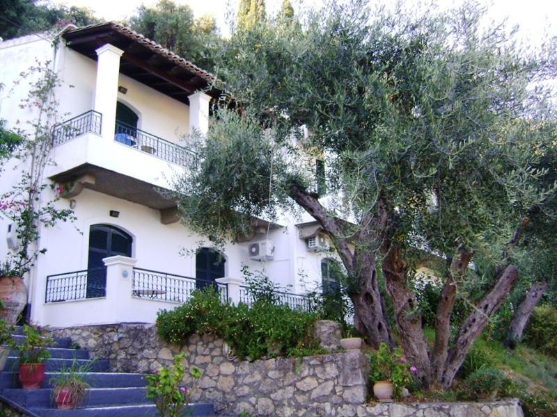 Natasa And Spiros Apartment Paleokastritsa Exterior foto